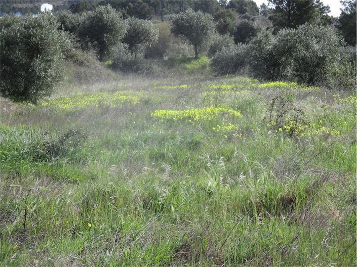 Image No.5-Property for sale