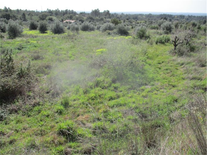 Image No.9-Property for sale