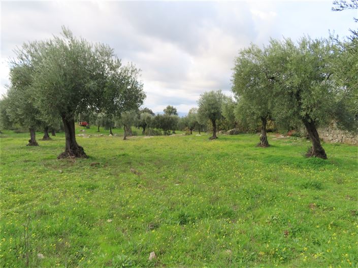 Image No.1-Property for sale