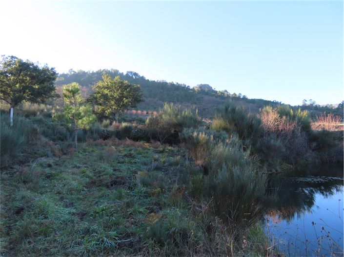 Image No.11-Property for sale