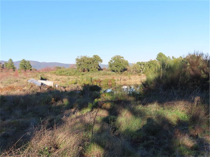 Image No.14-Property for sale