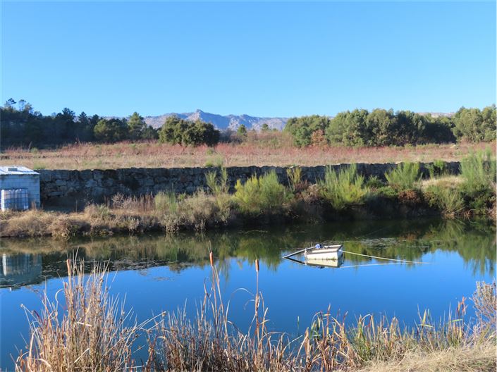 Image No.2-Property for sale