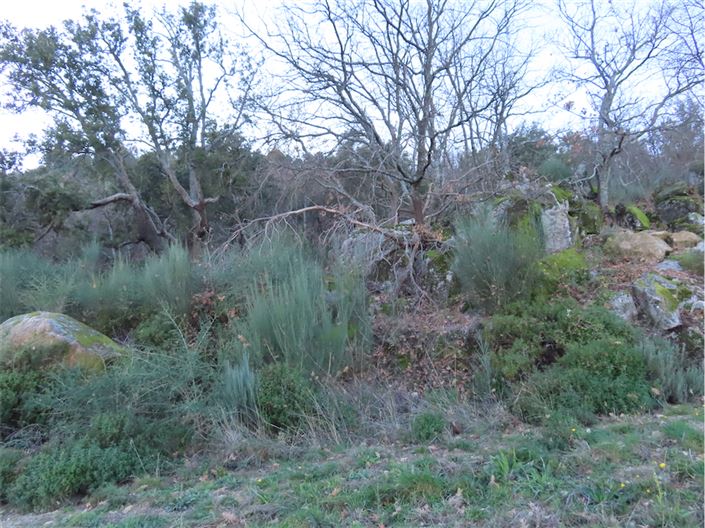 Image No.23-Property for sale