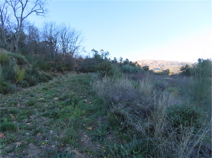 Image No.24-Property for sale