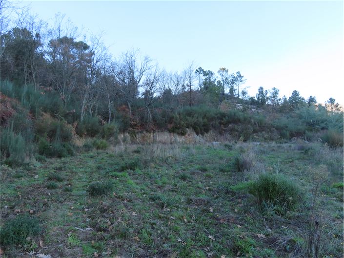 Image No.26-Property for sale