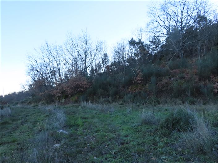 Image No.28-Property for sale