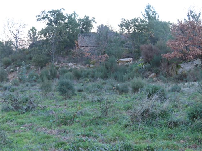 Image No.32-Property for sale