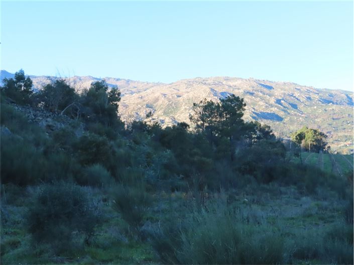 Image No.33-Property for sale