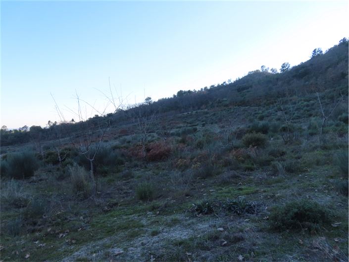 Image No.38-Property for sale