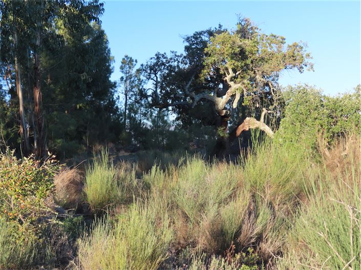 Image No.45-Property for sale