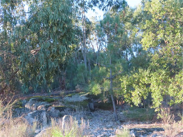 Image No.46-Property for sale