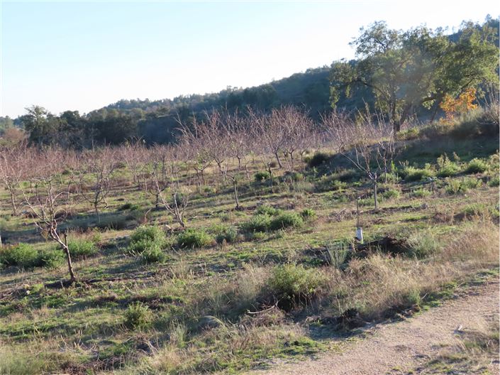 Image No.47-Property for sale