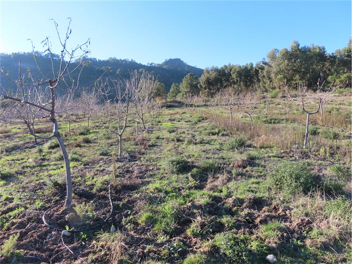 Image No.5-Property for sale