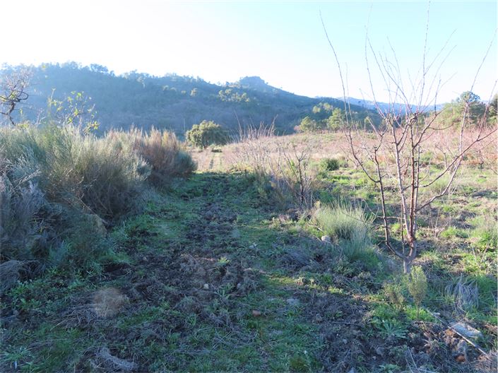 Image No.6-Property for sale