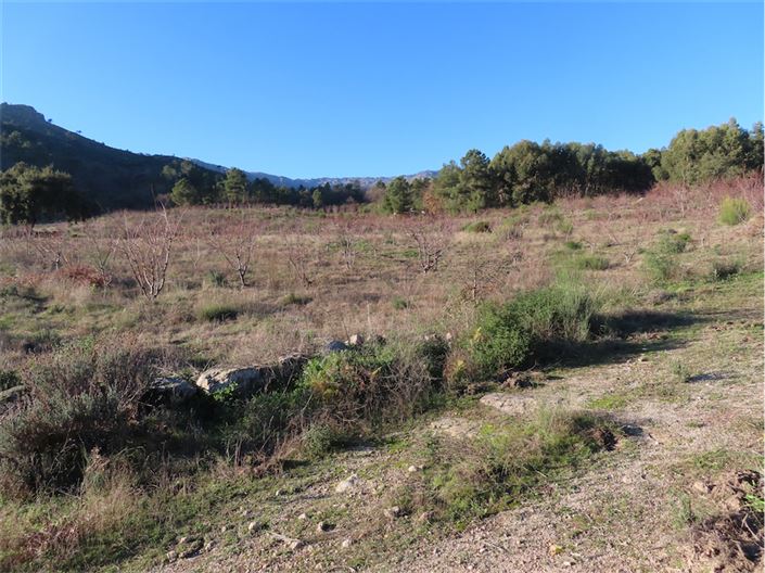 Image No.8-Property for sale