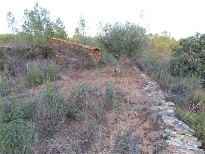 Image No.1-Property for sale