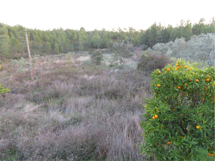 Image No.10-Property for sale