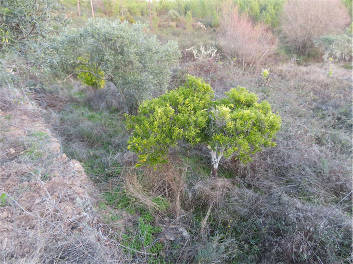 Image No.12-Property for sale