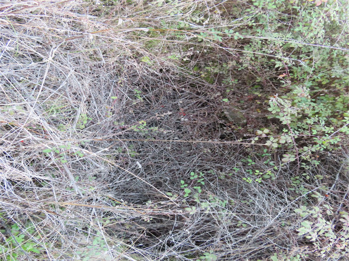 Image No.13-Property for sale