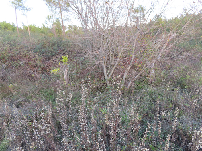 Image No.14-Property for sale