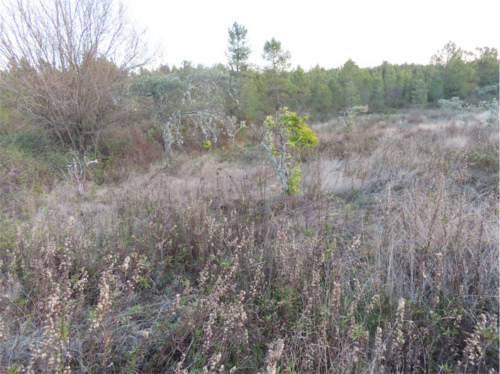 Image No.15-Property for sale