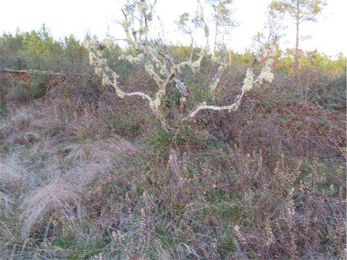 Image No.16-Property for sale