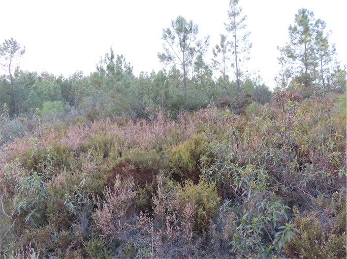 Image No.7-Property for sale