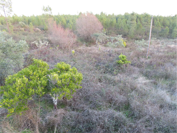 Image No.9-Property for sale