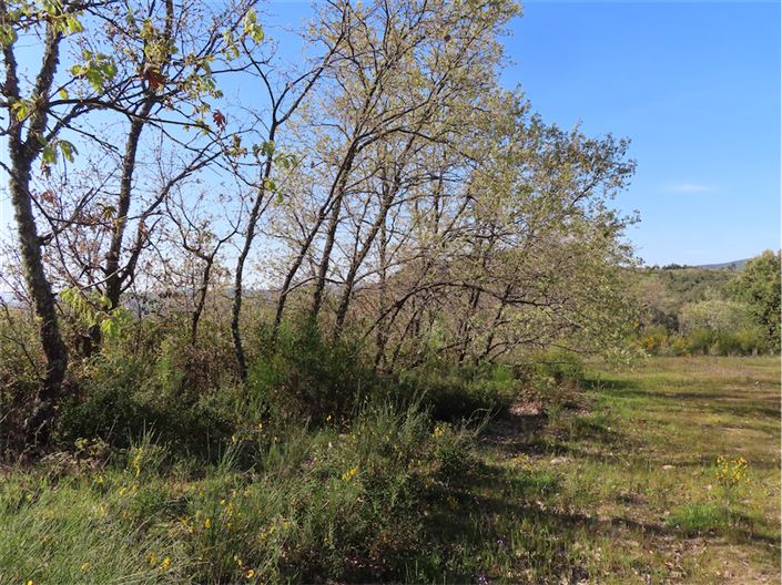 Image No.1-Property for sale