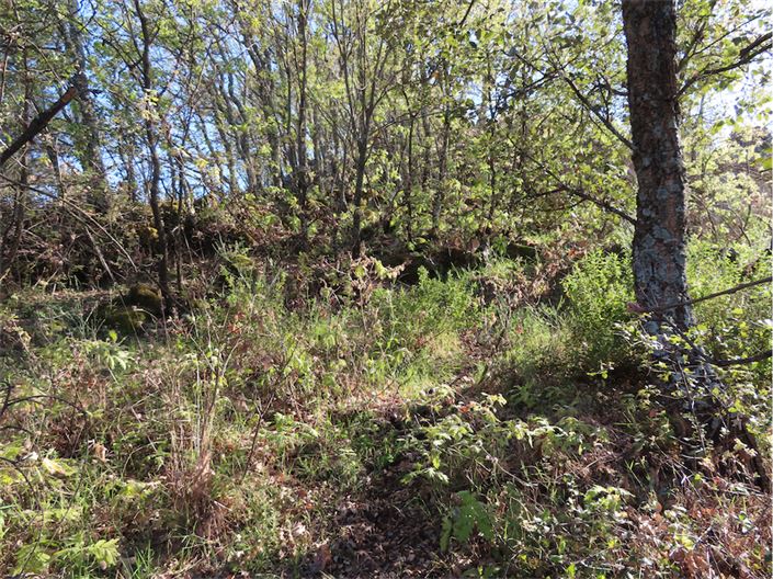 Image No.12-Property for sale