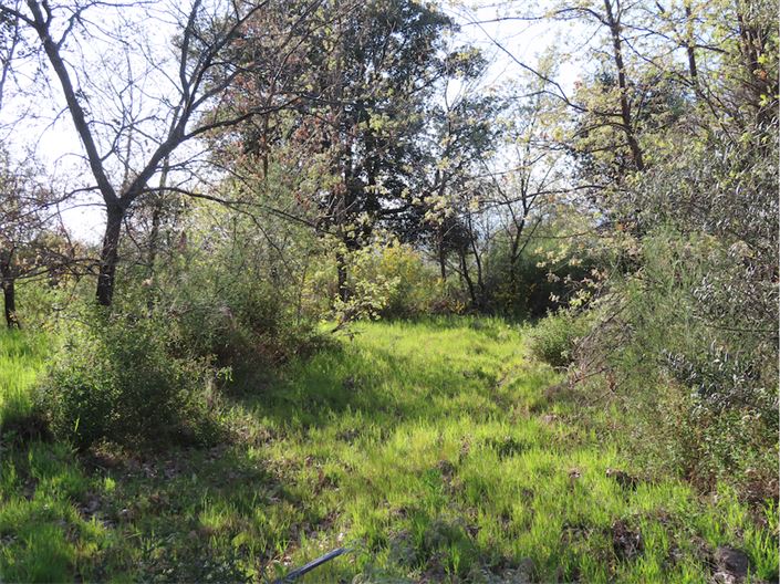 Image No.14-Property for sale