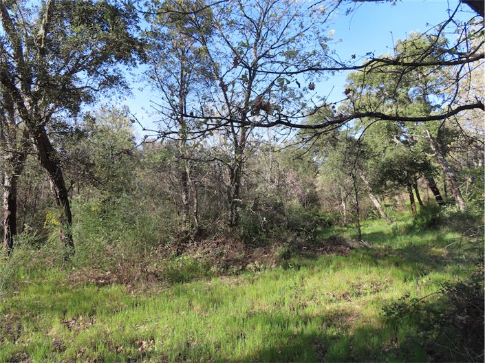 Image No.15-Property for sale