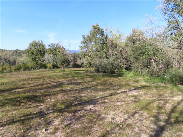 Image No.2-Property for sale