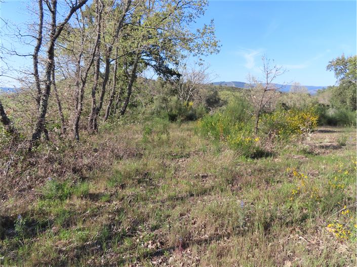 Image No.4-Property for sale