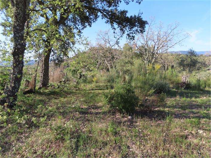 Image No.5-Property for sale