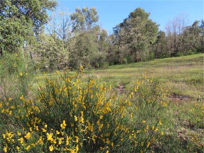 Image No.6-Property for sale