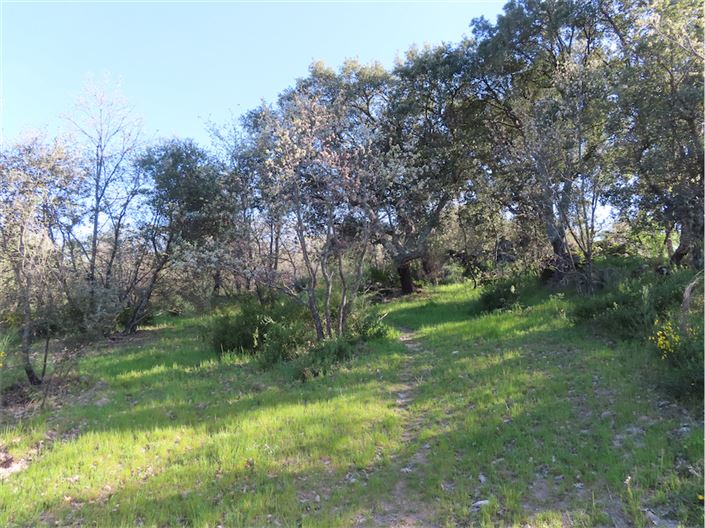 Image No.8-Property for sale