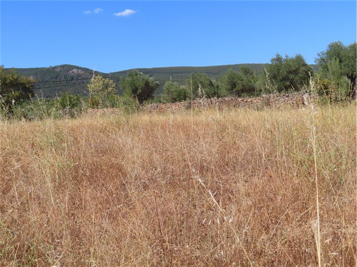 Image No.16-Property for sale