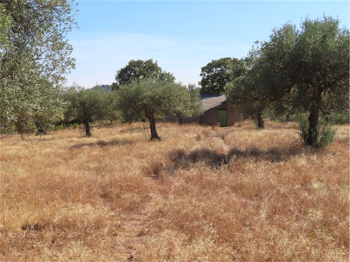 Image No.18-Property for sale