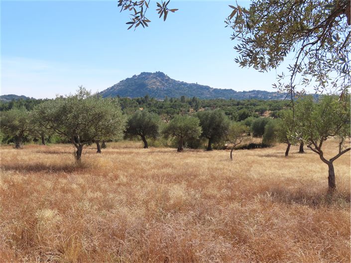 Image No.20-Property for sale