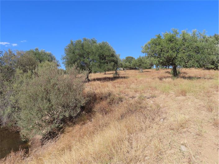 Image No.22-Property for sale