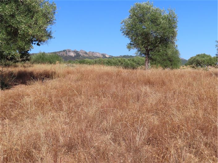 Image No.29-Property for sale