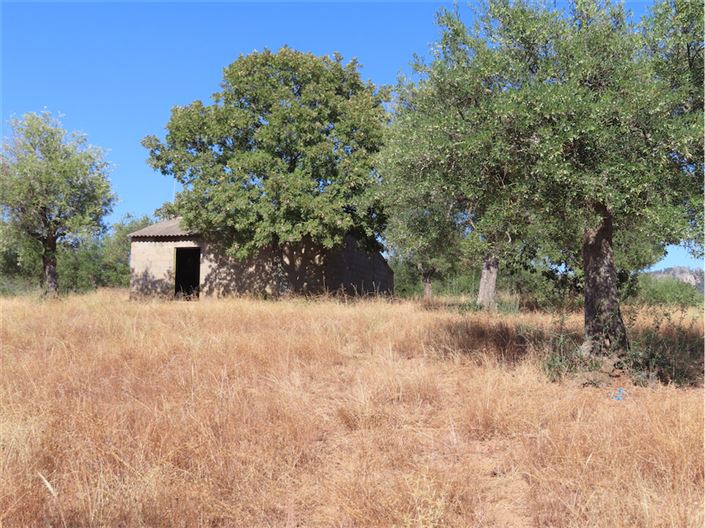 Image No.30-Property for sale