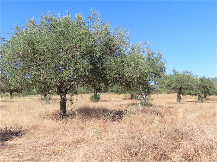 Image No.9-Property for sale