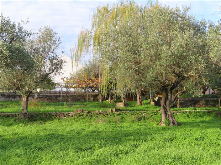 Image No.16-3 Bed Property for sale