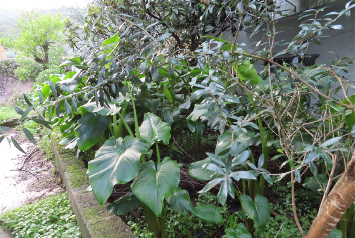 Image No.10-4 Bed Property for sale