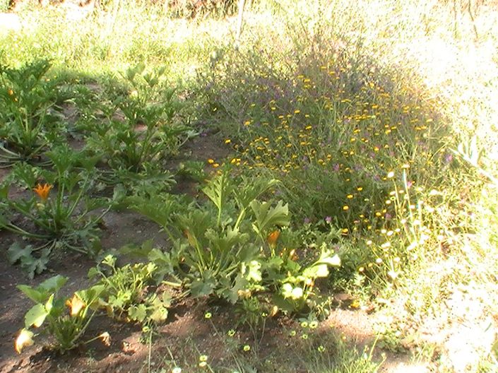 Image No.34-4 Bed Property for sale