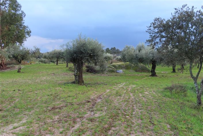 Image No.10-Property for sale