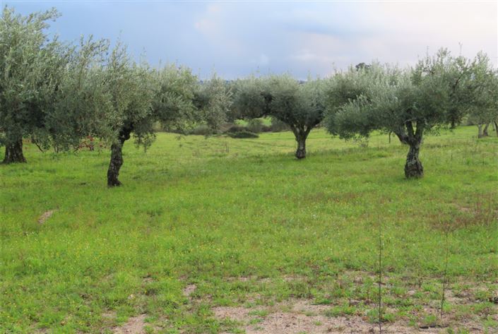 Image No.12-Property for sale