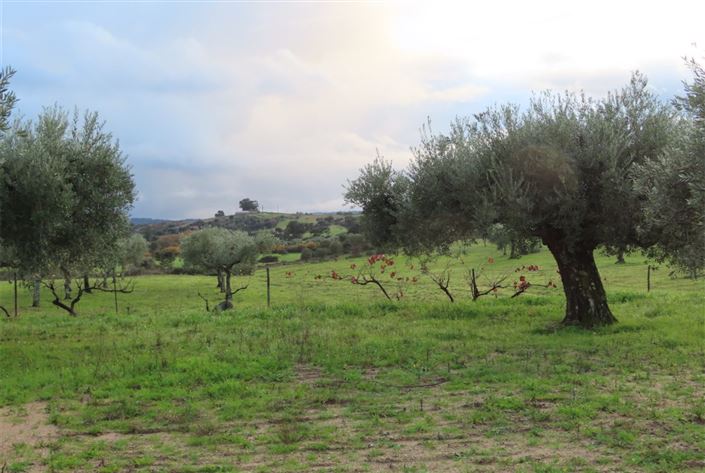 Image No.15-Property for sale